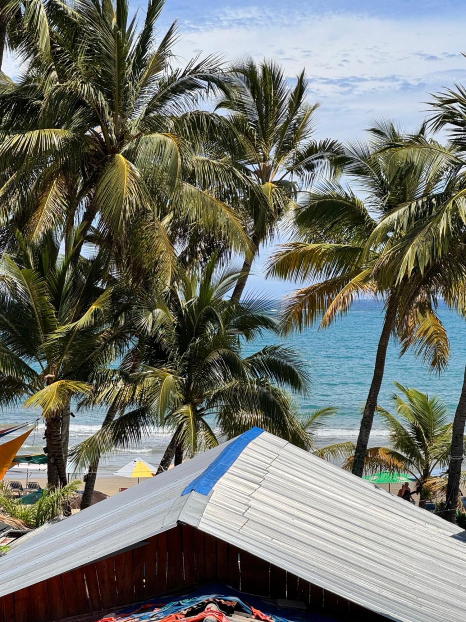 Wing Camp Hostel Cabarete Exterior photo