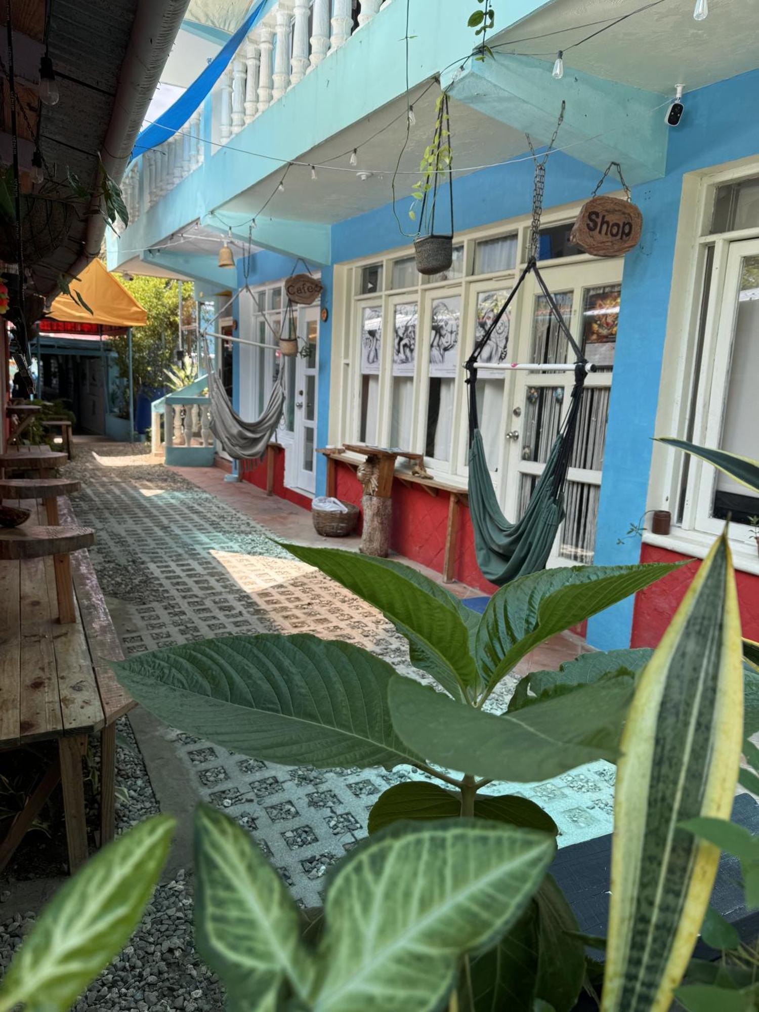 Wing Camp Hostel Cabarete Exterior photo